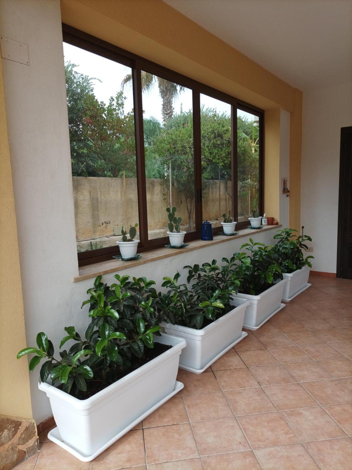 Acasammare Apartment Marsala Exterior photo